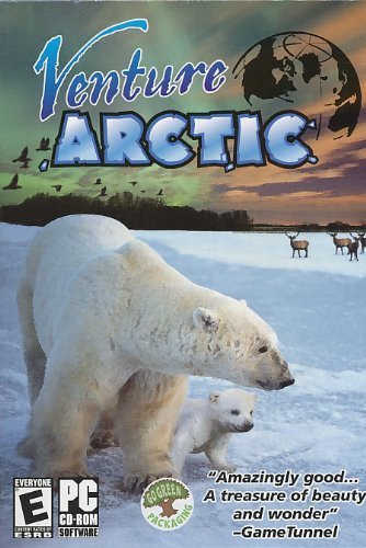 Girişim Arctic PC Oyunu